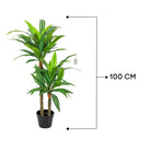 Artificial Dracaena Tree 100 cm Luxury Casa