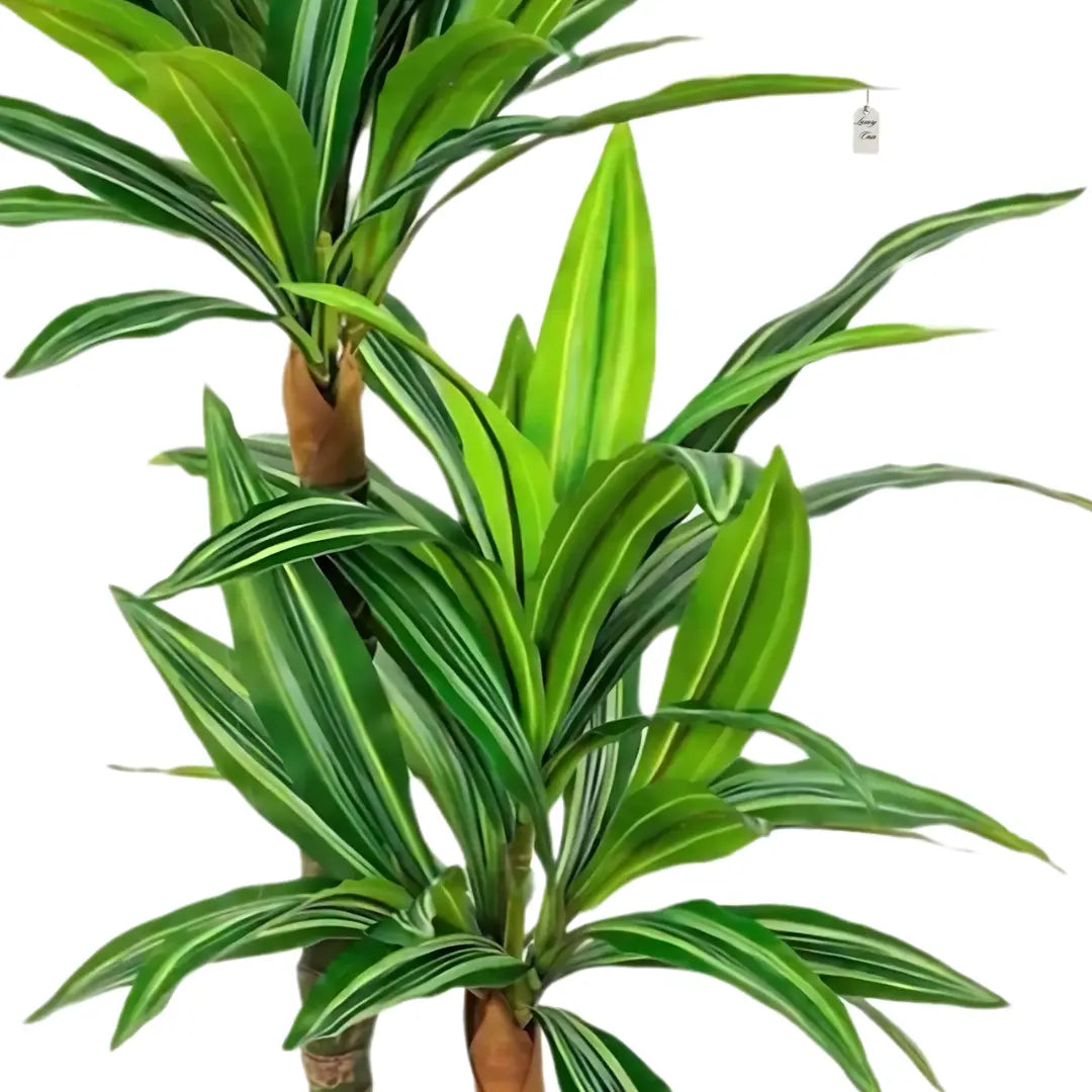 Artificial Dracaena Tree 100 cm Luxury Casa
