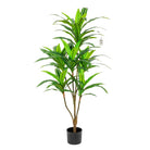 Artificial Dracaena Tree 130 cm Luxury Casa