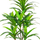 Artificial Dracaena Tree 130 cm Luxury Casa
