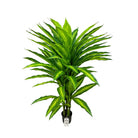 Artificial Dracaena Tree 150 cm Luxury Casa