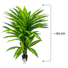 Artificial Dracaena Tree 150 cm Luxury Casa