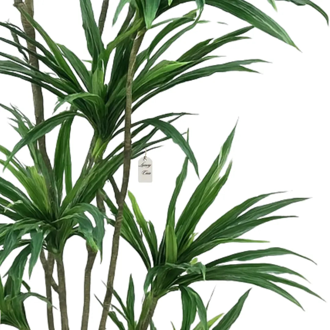Artificial Dracaena Tree 150 cm Luxury Casa