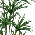 Artificial Dracaena Tree 150 cm Luxury Casa