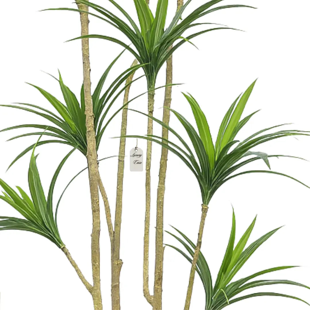 Artificial Dracaena Tree 150 cm Luxury Casa