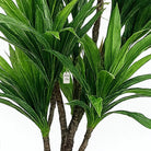 Artificial Dracaena Tree 150 cm Luxury Casa