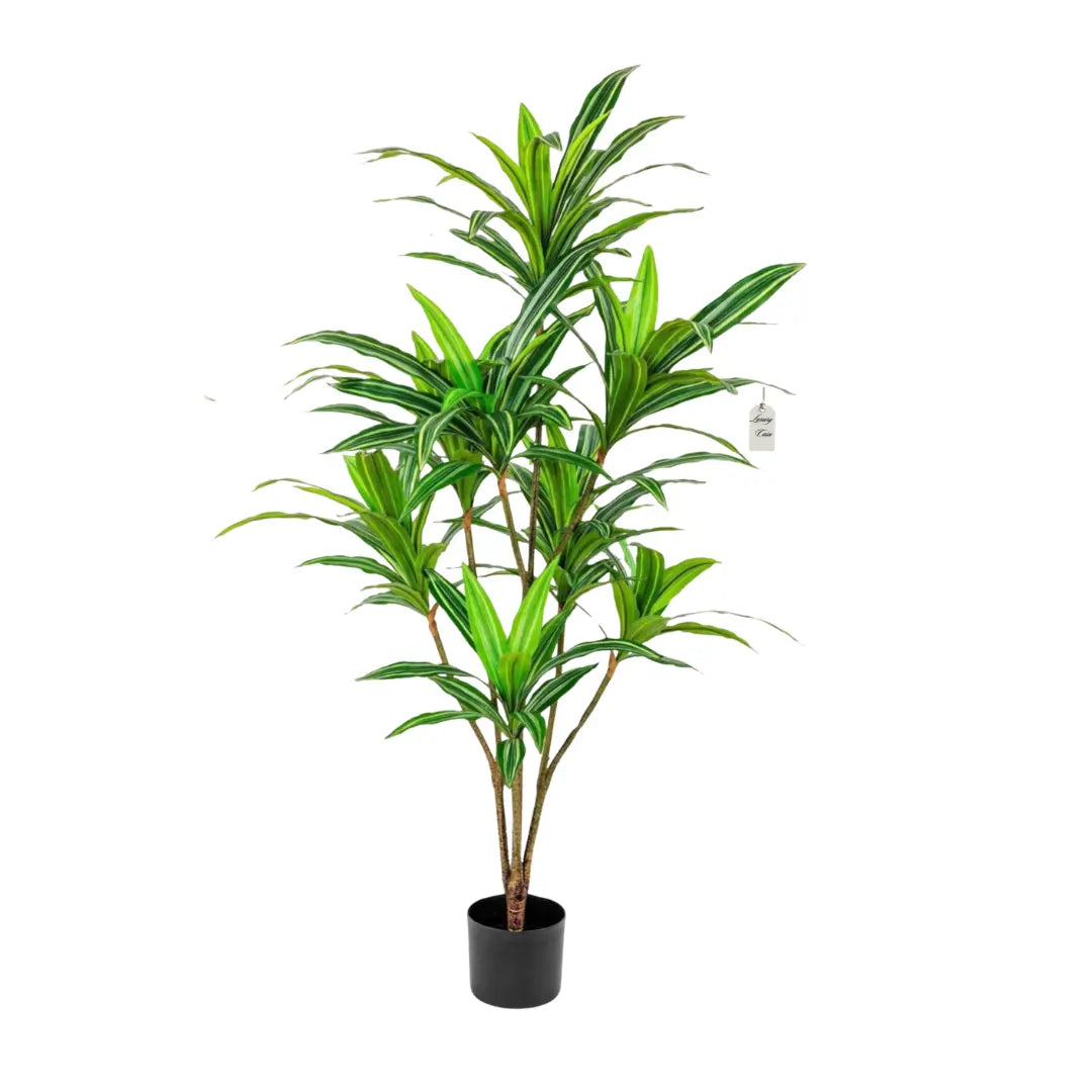 Artificial Dracaena Tree 165 cm Luxury Casa
