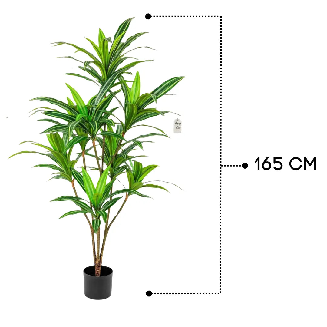 Artificial Dracaena Tree 165 cm Luxury Casa