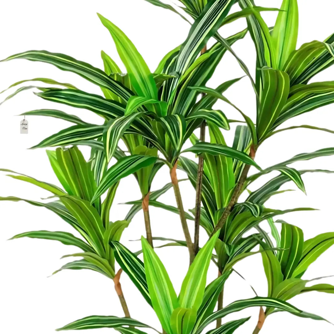 Artificial Dracaena Tree 165 cm Luxury Casa