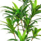 Artificial Dracaena Tree 165 cm Luxury Casa