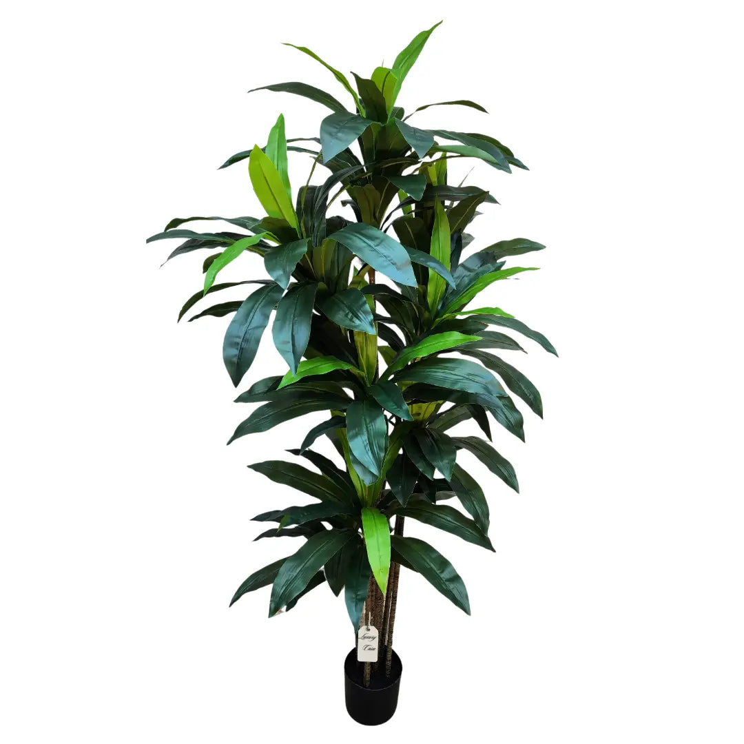 Artificial Dracaena Tree 180 cm Luxury Casa