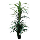 Artificial Dracaena Tree 180 cm Luxury Casa