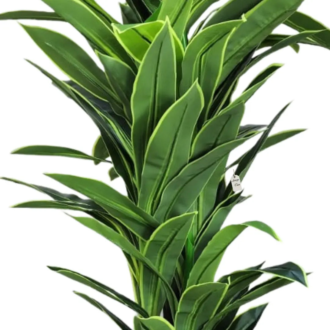 Artificial Dracaena Tree 180 cm Luxury Casa