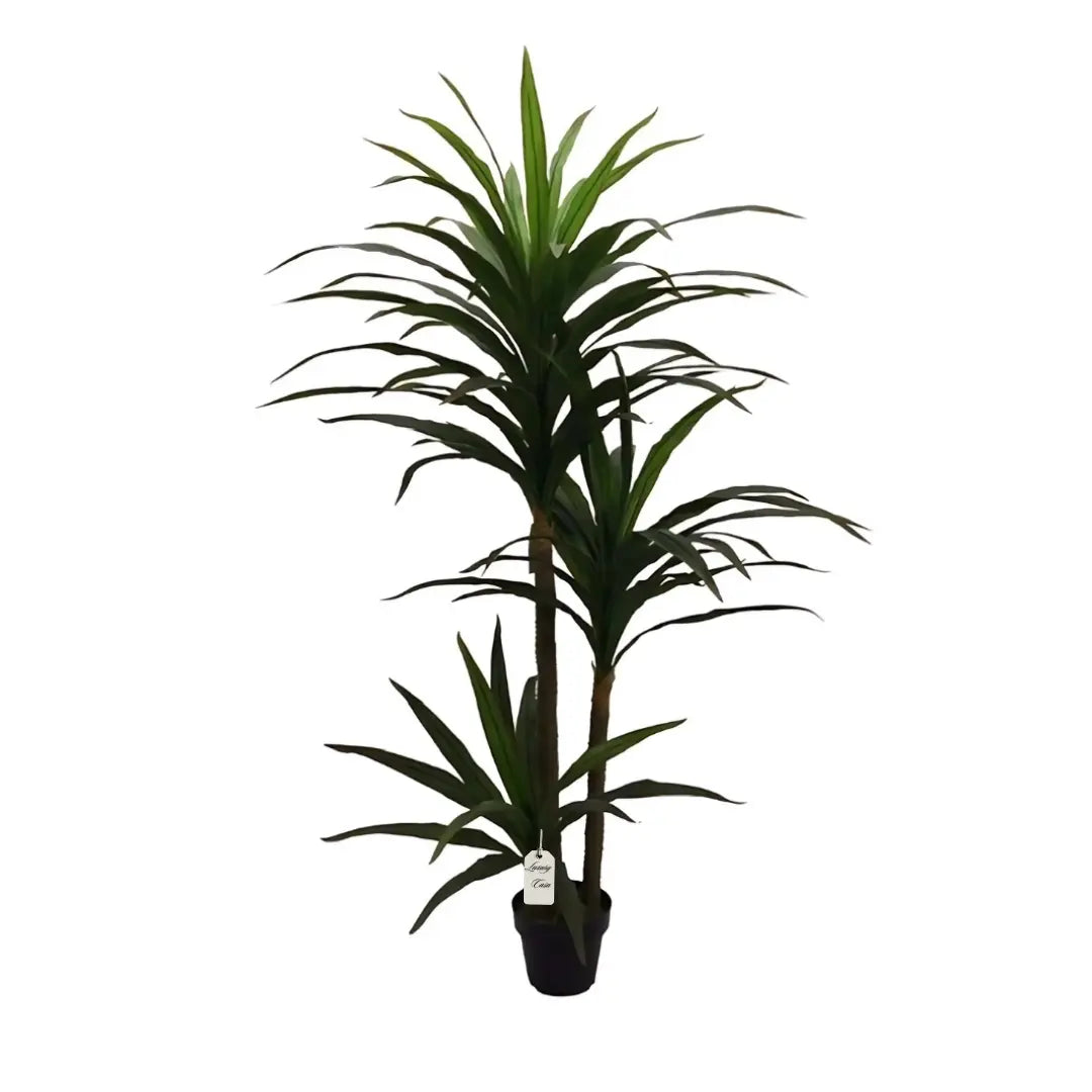 Artificial Dracaena Tree 190 Cm Luxury Casa