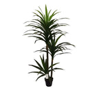 Artificial Dracaena Tree 190 Cm Luxury Casa