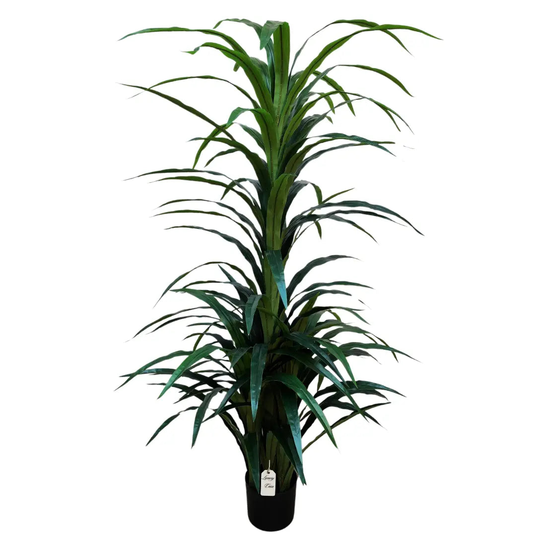 Artificial Dracaena Tree 200 cm Luxury Casa
