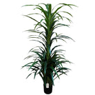 Artificial Dracaena Tree 200 cm Luxury Casa
