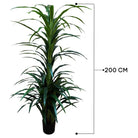 Artificial Dracaena Tree 200 cm Luxury Casa