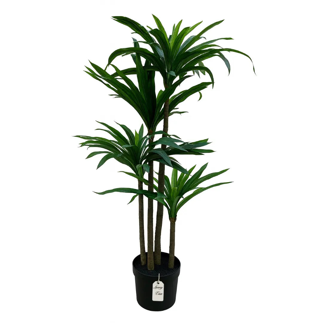 Artificial Dracaena Tree 60 cm Luxury Casa