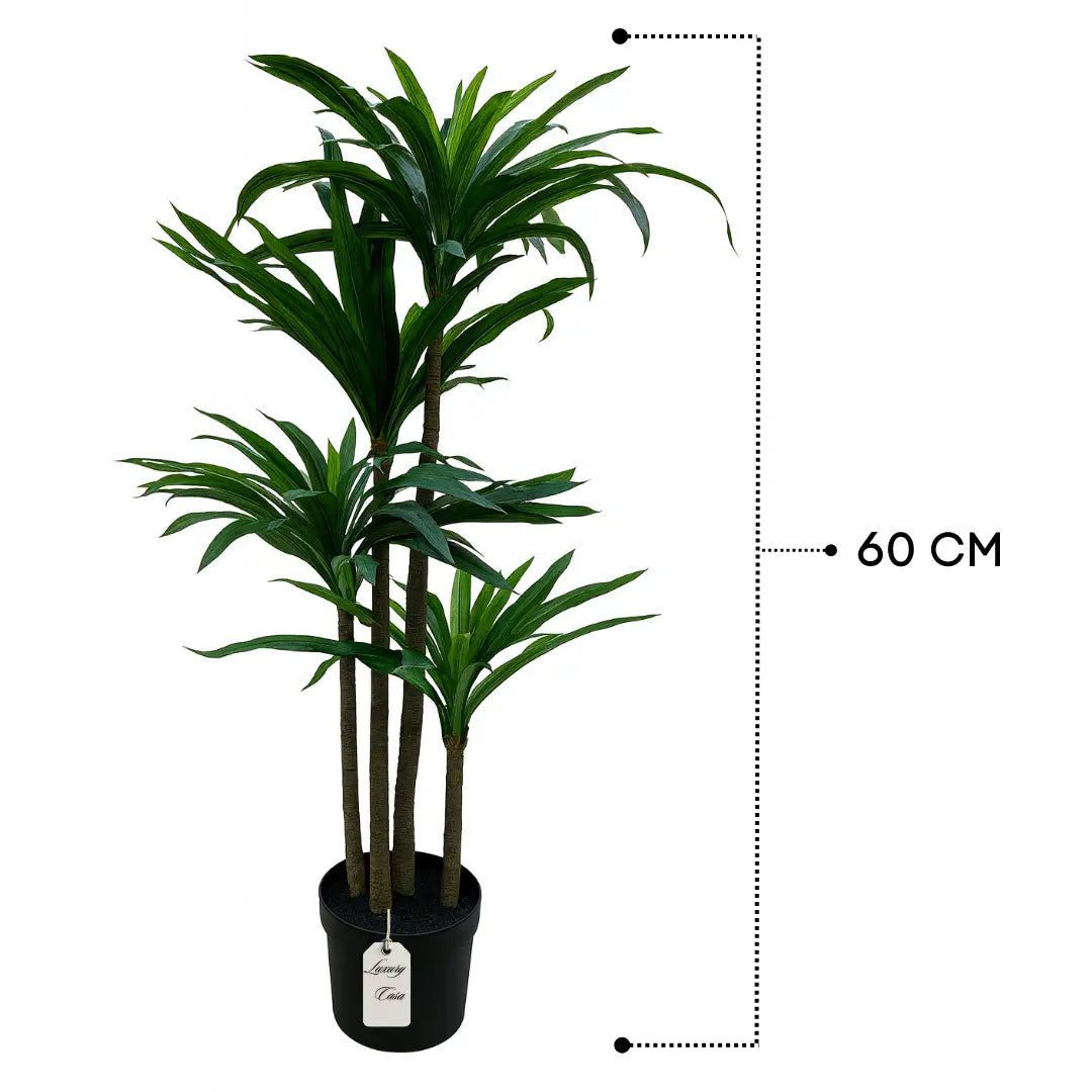 Artificial Dracaena Tree 60 cm Luxury Casa