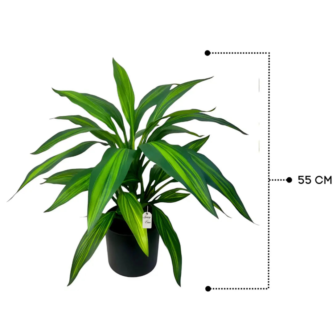 Artificial Draceana Plant 55 Cm Luxury Casa
