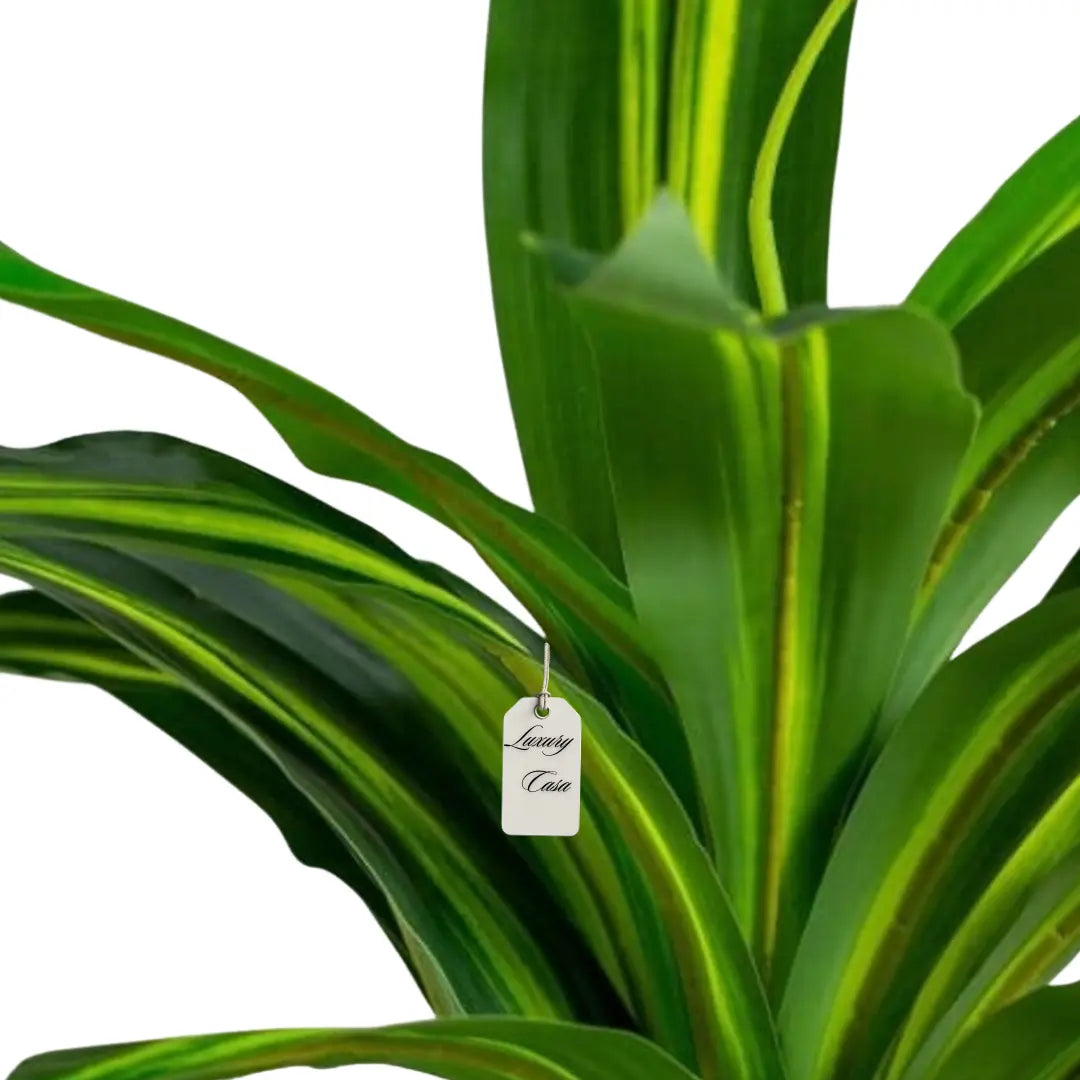 Artificial Draceana Plant 55 Cm Luxury Casa