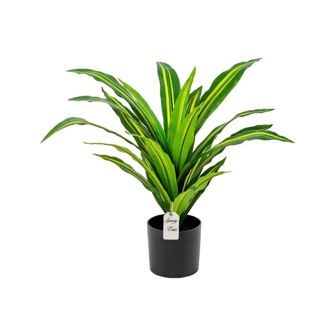 Artificial Draceana Plant 55 Cm Luxury Casa