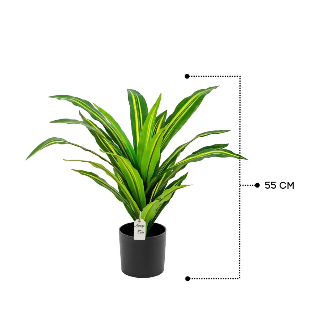 Artificial Draceana Plant 55 Cm Luxury Casa