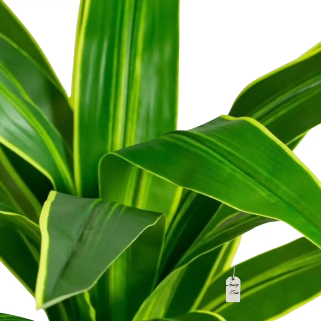 Artificial Draceana Tree 120 Cm Luxury Casa