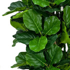 Artificial Fiddle Tree 170 cm Luxury Casa