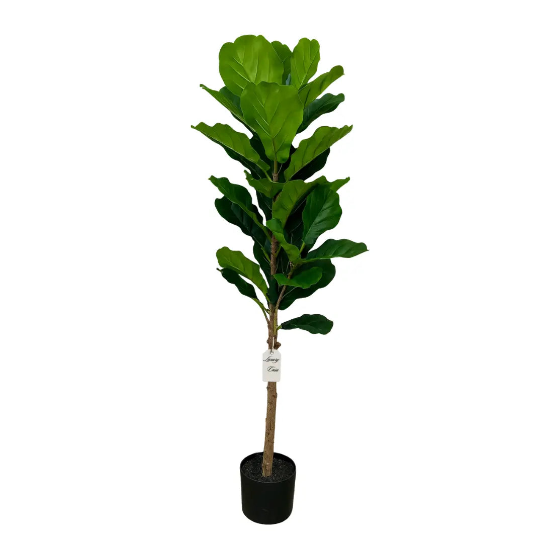 Artificial Fiddle Tree With Natural Wooden Trunk 150 cm Luxury Casa