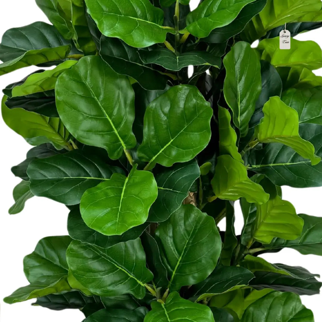 Artificial Fiddle Tree With Natural Wooden Trunk 150 cm Luxury Casa
