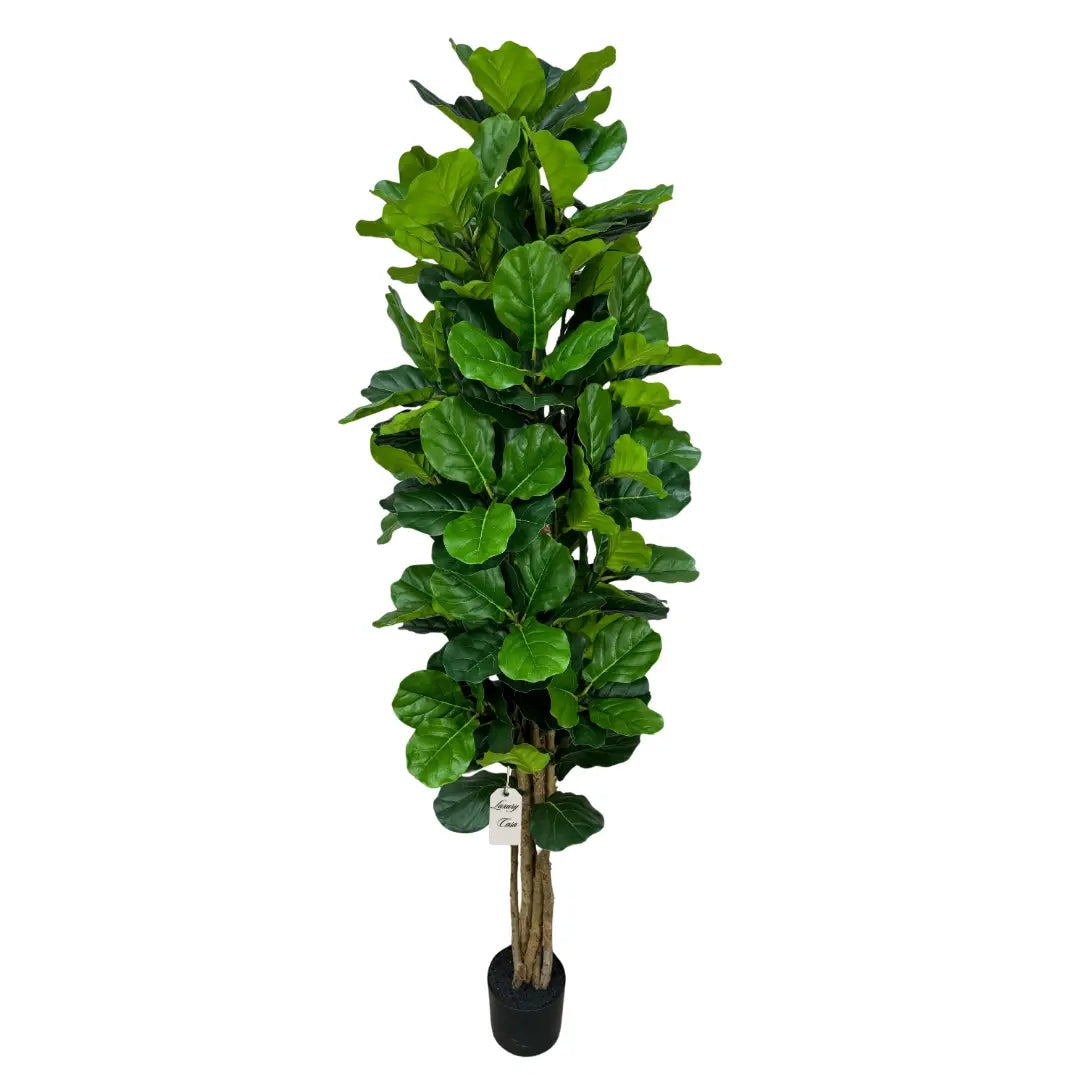 Artificial Fiddle Tree With Natural Wooden Trunk 180 cm Luxury Casa