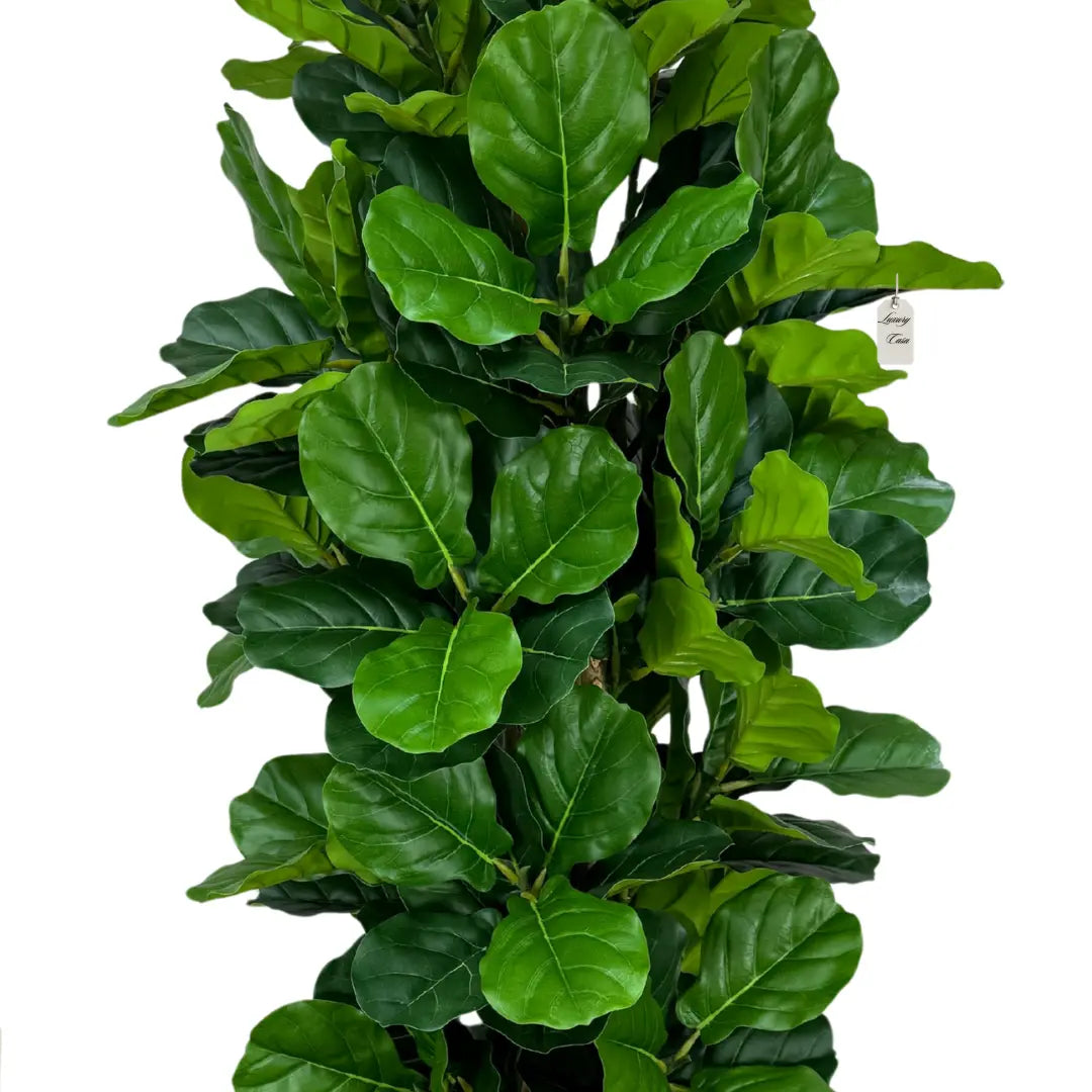 Artificial Fiddle Tree With Natural Wooden Trunk 180 cm Luxury Casa