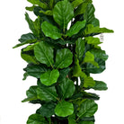 Artificial Fiddle Tree With Natural Wooden Trunk 180 cm Luxury Casa