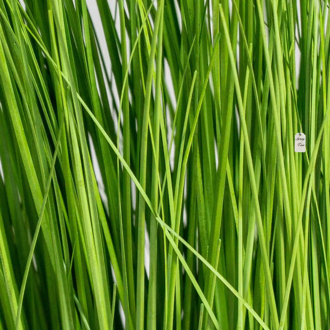 Artificial Grass Plant 70 Luxury Casa