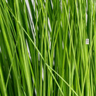 Artificial Grass Plant 70 Luxury Casa