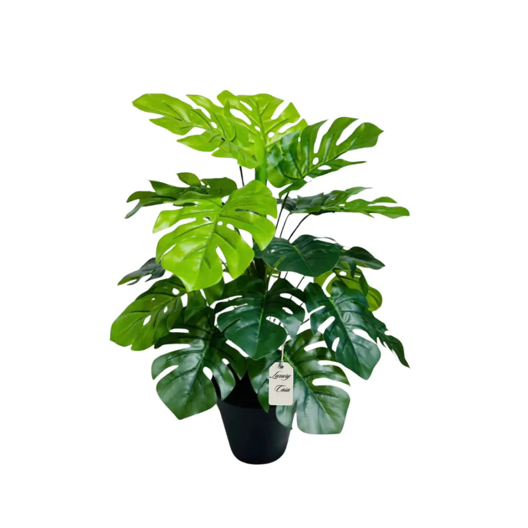 Artificial Monstera Tree 50 Cm Luxury Casa