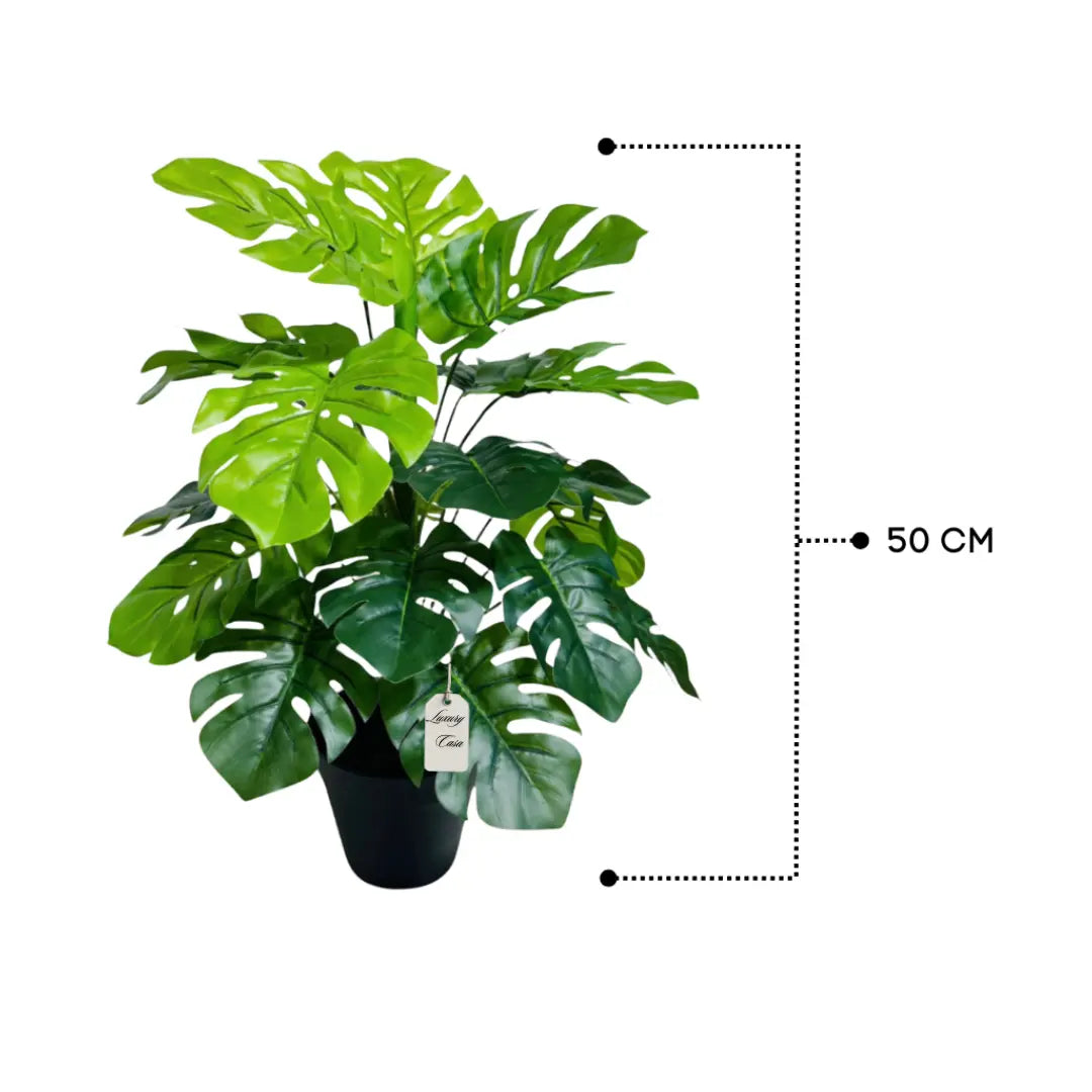 Artificial Monstera Tree 50 Cm Luxury Casa
