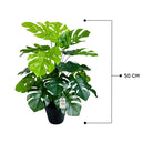 Artificial Monstera Tree 50 Cm Luxury Casa