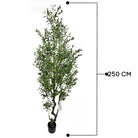 Artificial Olive Tree 250 cm Luxury Casa