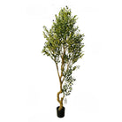 Artificial Olive Tree 250 cm Luxury Casa