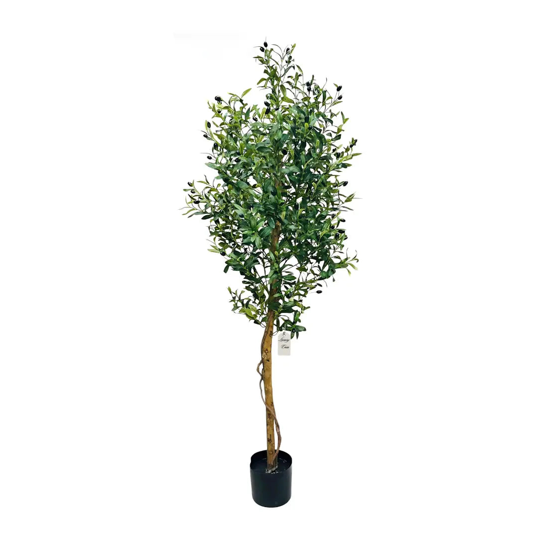 Artificial Olive Tree With Natural Wooden Trunk 180 cm Luxury Casa