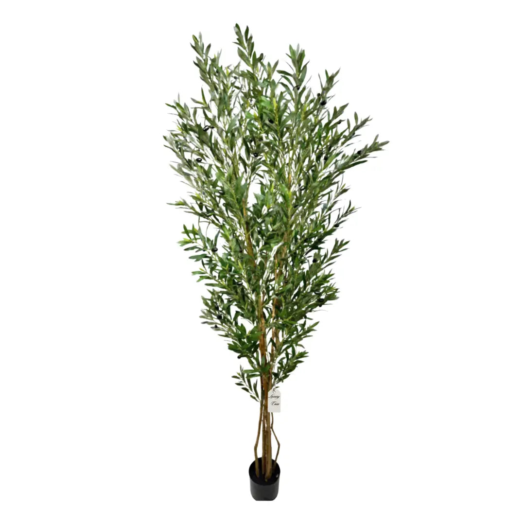 Artificial Olive Tree With Natural Wooden Trunk 210 cm Luxury Casa