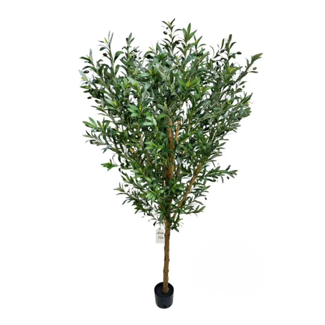Artificial Olive Tree With Natural Wooden Trunk 210 cm Luxury Casa