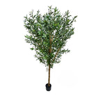 Artificial Olive Tree With Natural Wooden Trunk 210 cm Luxury Casa