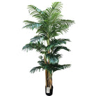 Artificial Palm Tree With Natural Wooden Trunk 210 cm Luxury Casa