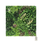 Artificial Premium Mixed Leaf Green Wall Panel 100x100 cm Luxury Casa