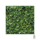 Artificial Schefflera & Flower Green Wall Panel 100x100 cm Luxury Casa