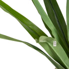 Artificial Yucca Tree 130 Cm Luxury Casa